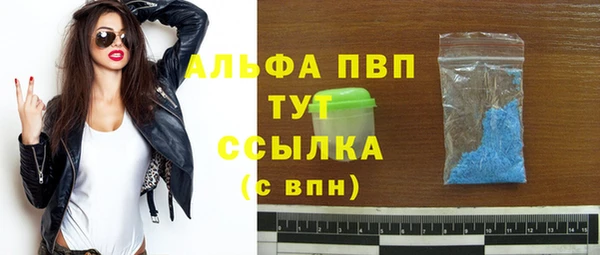 СК Надым
