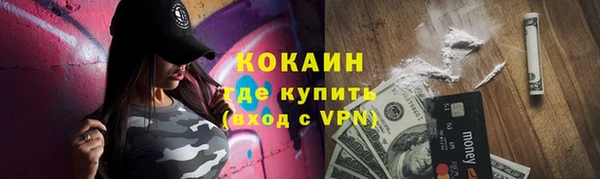 мдпв Новозыбков