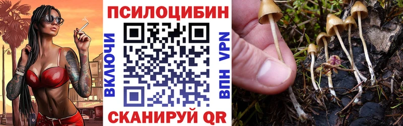 Галлюциногенные грибы мухоморы  кракен маркетплейс  Искитим 