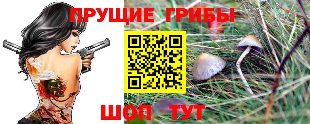 Псилоцибиновые грибы Magic Shrooms  Вход с VPN  Искитим  Галлюциногенные грибы мицелий 