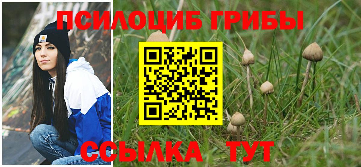 Псилоцибиновые грибы ЛСД Искитим