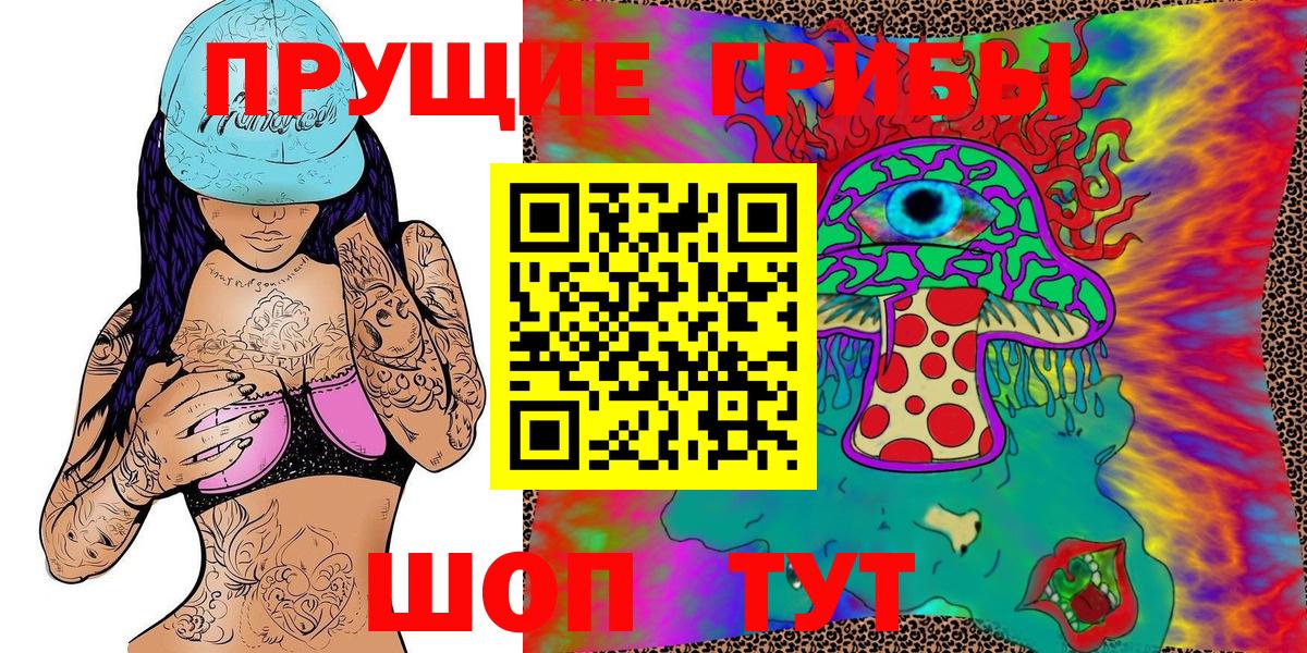 Псилоцибиновые грибы MAGIC MUSHROOMS  закладка  Искитим 